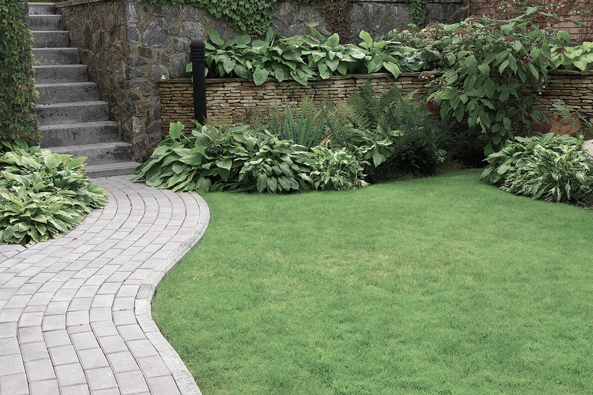 Welcome to JC Landscaping